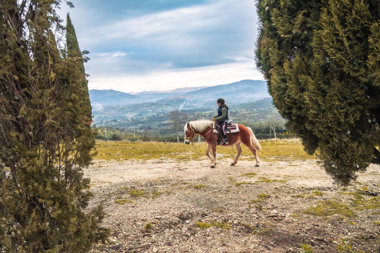 Agriturismo La Cerra Tivoli Esterno foto
