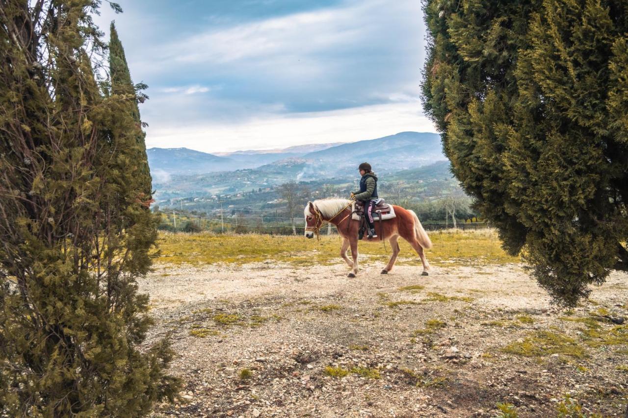 Agriturismo La Cerra Villa Tivoli Esterno foto