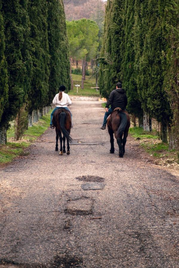 Agriturismo La Cerra Villa Tivoli Esterno foto